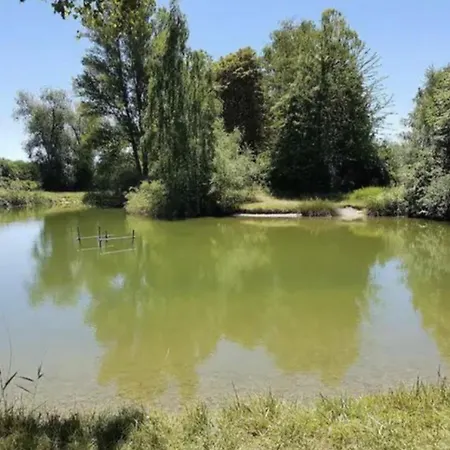 Les Mobilhomes D'edit - Pour 2 A 12 Personnes 別荘 Boofzheim